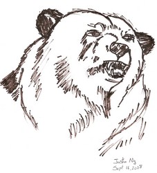 Kodiak Bear coloring #5, Download drawings