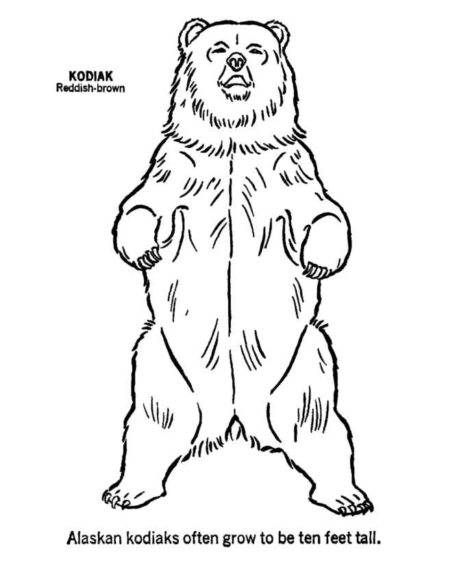Kodiak Bear coloring #18, Download drawings