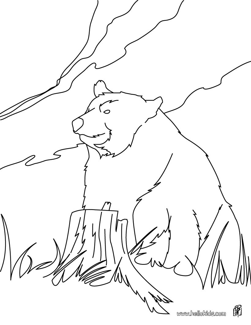 Kodiak Bear coloring #14, Download drawings