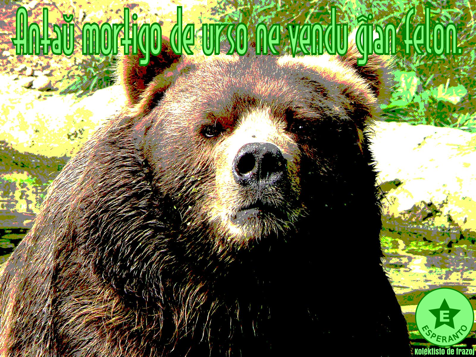 Kodiak Bear svg #6, Download drawings