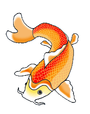 Koi Fish clipart #20, Download drawings