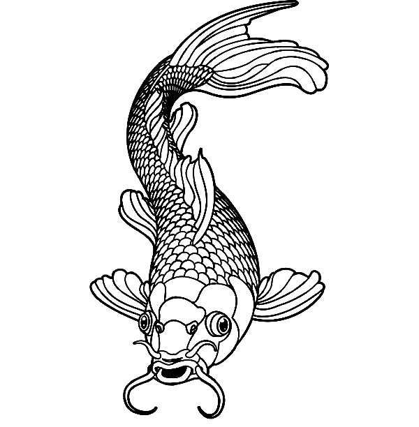 Koi Fish coloring #12, Download drawings