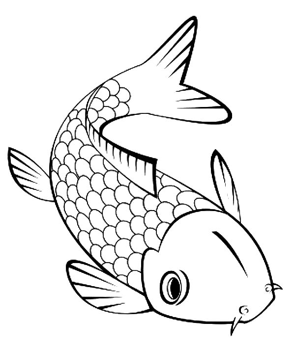 Koi Fish coloring #5, Download drawings