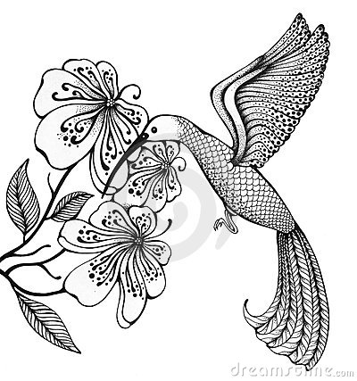 Kolibri coloring #20, Download drawings