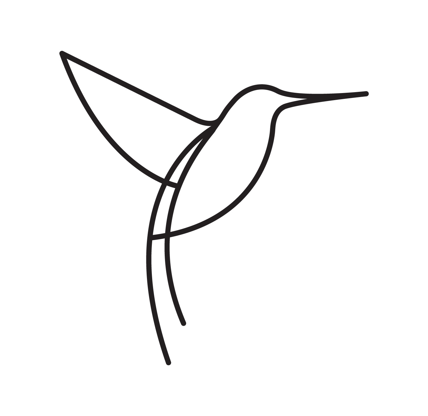 Kolibri coloring #2, Download drawings
