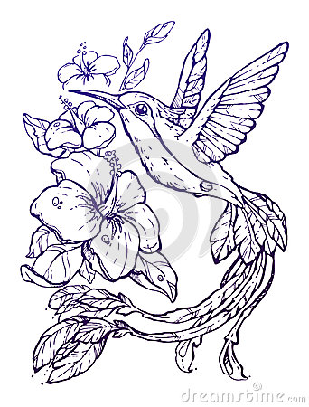Kolibri coloring #14, Download drawings