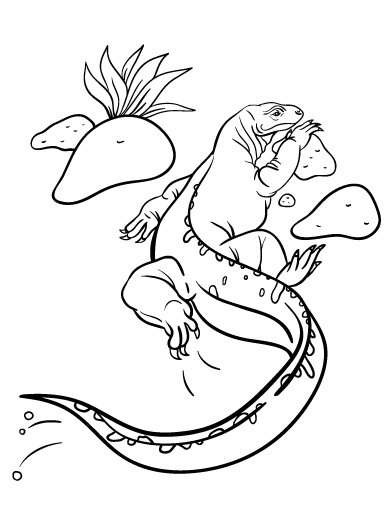 Komodo Dragon coloring #11, Download drawings
