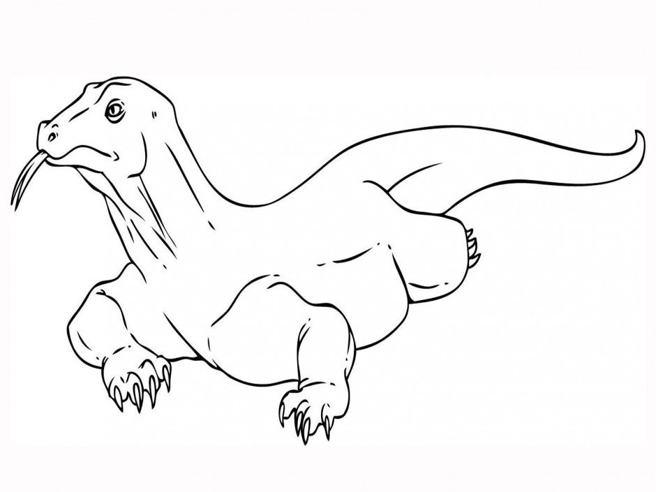 Komodo Dragon coloring #8, Download drawings