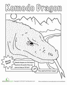 Komodo Dragon coloring #14, Download drawings