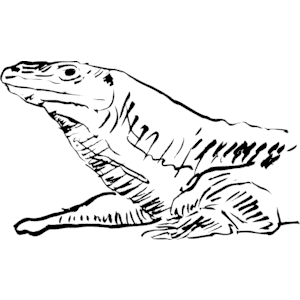 Komodo Dragon svg #15, Download drawings