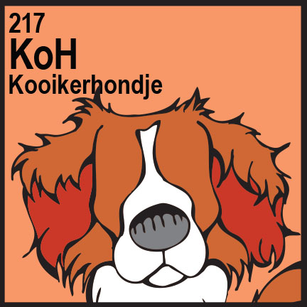 Kooikerhondje svg #16, Download drawings