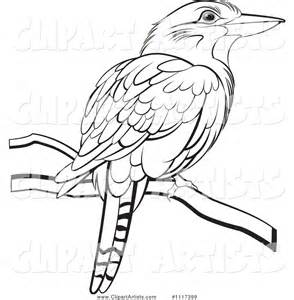 Kookaburra coloring #7, Download drawings