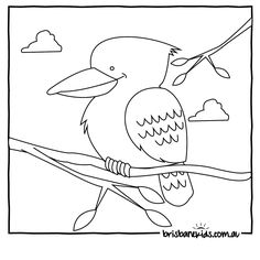 Kookaburra coloring #12, Download drawings