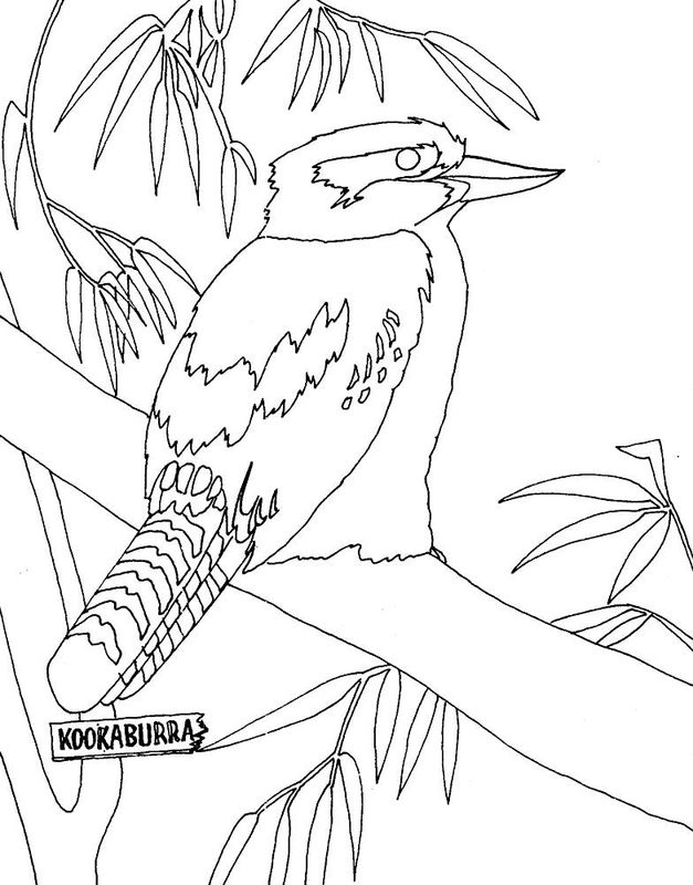 Kookaburra coloring #19, Download drawings