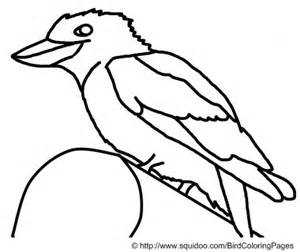 Kookaburra coloring #11, Download drawings