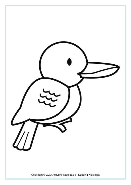 Kookaburra coloring #9, Download drawings