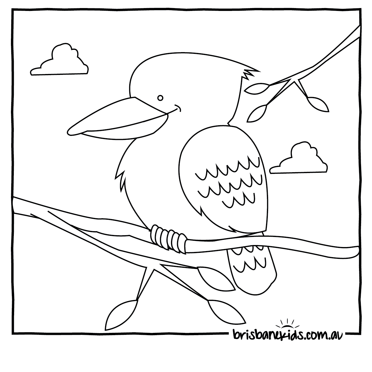 Kookaburra coloring #20, Download drawings