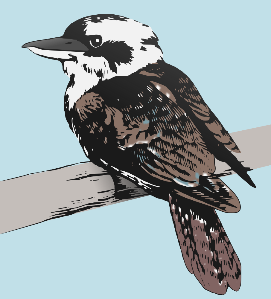 Kookaburra svg #7, Download drawings