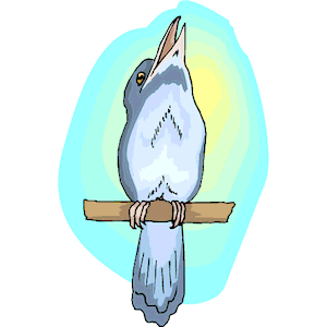 Kookaburra svg #12, Download drawings