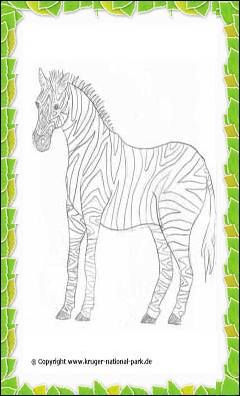 Kruger National Park coloring #20, Download drawings