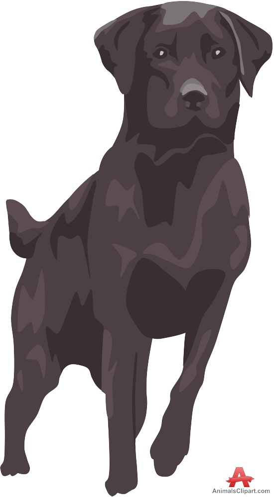 Labrador clipart #2, Download drawings