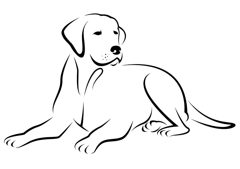 Labrador coloring #7, Download drawings