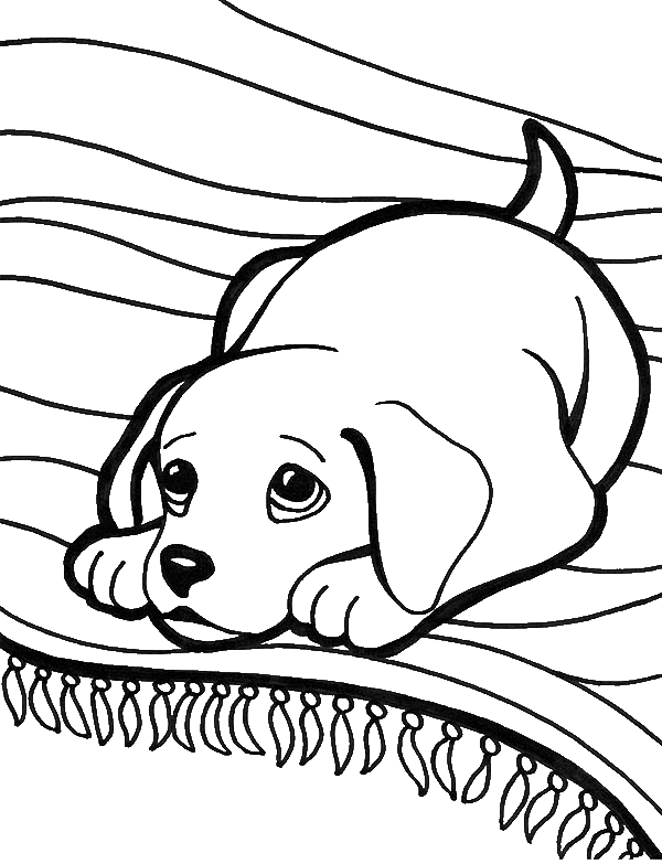Labrador coloring #12, Download drawings