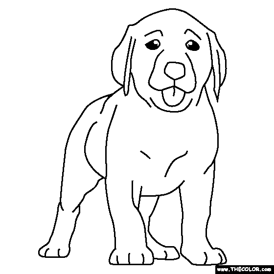 Labrador coloring #19, Download drawings