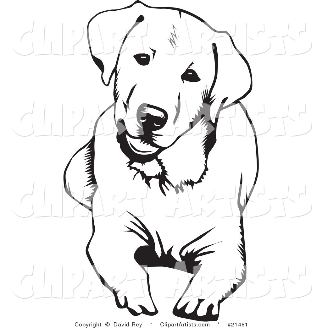 Labrador Retriever clipart #3, Download drawings