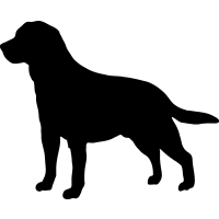 Labrador Retriever clipart #18, Download drawings