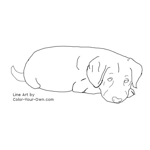 Labrador Retriever coloring #11, Download drawings