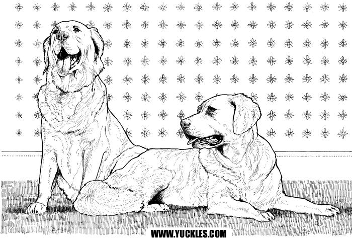Labrador Retriever coloring #15, Download drawings
