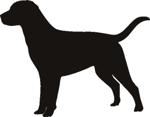 Labrador Retriever svg #3, Download drawings