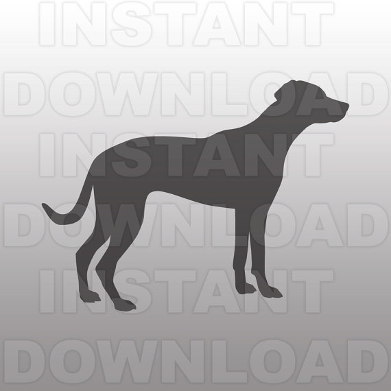 Labrador Retriever svg #5, Download drawings