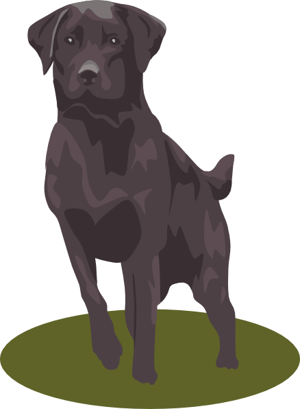 Labrador Retriever svg #13, Download drawings