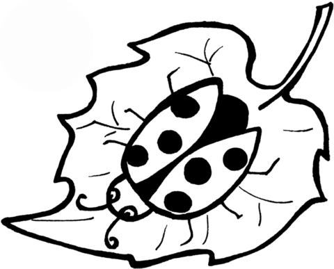 Ladybug coloring #2, Download drawings