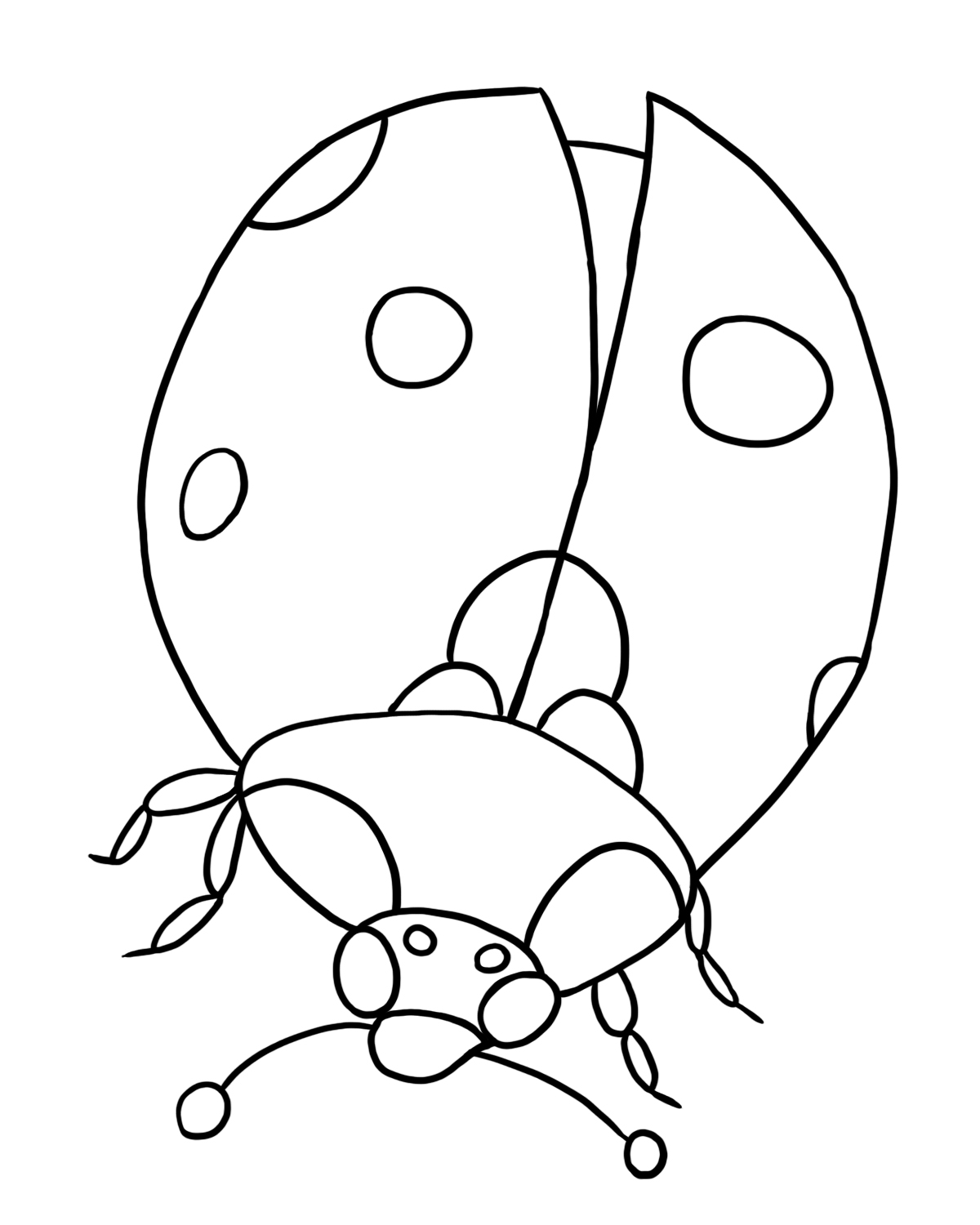 Ladybug coloring #17, Download drawings