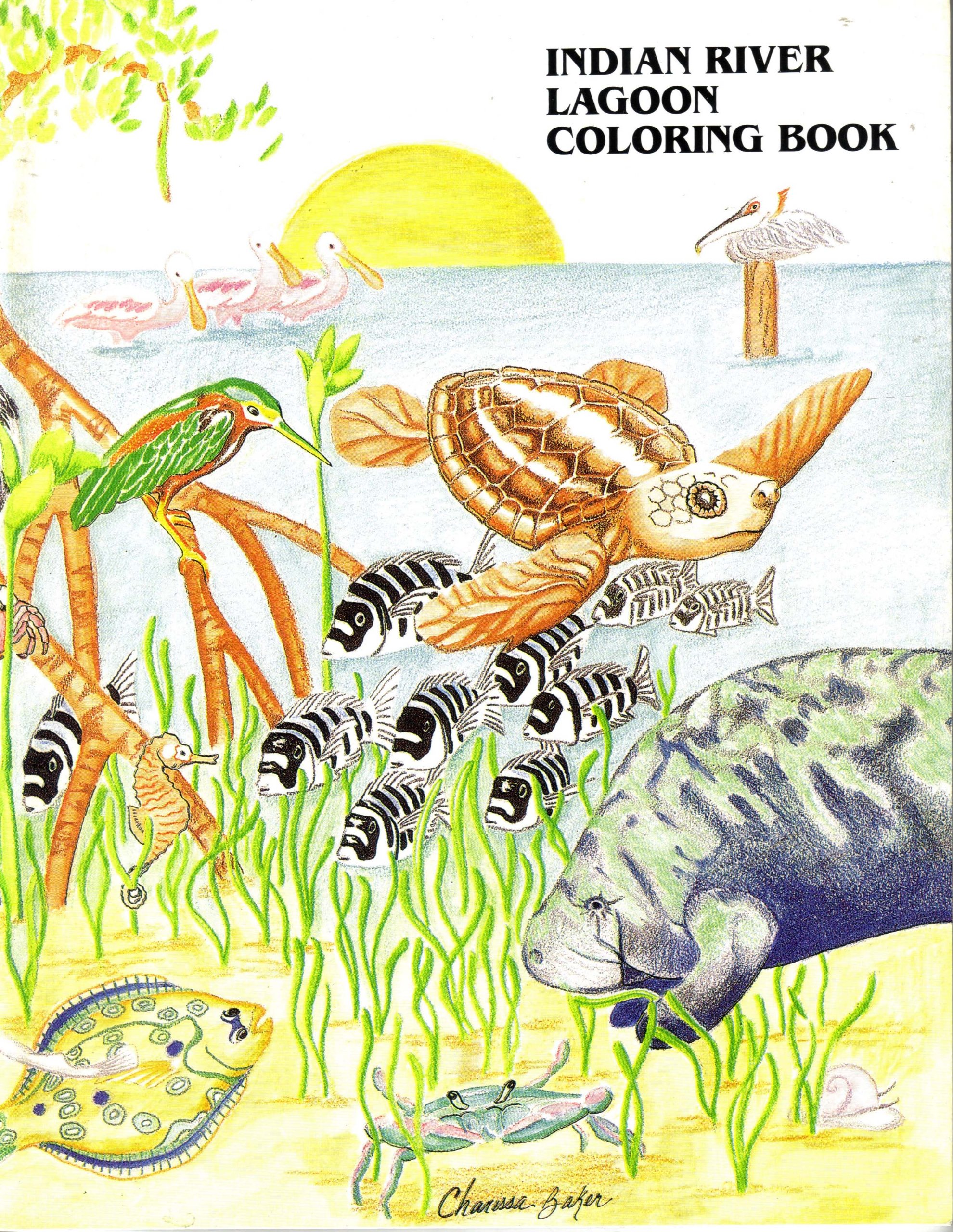 Lagoon coloring #3, Download drawings