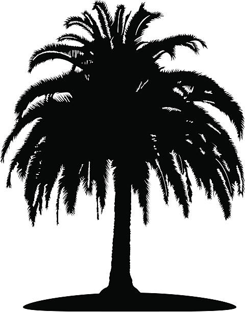 Laguna Beach clipart #13, Download drawings