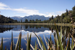 Lake Matheson clipart #5, Download drawings