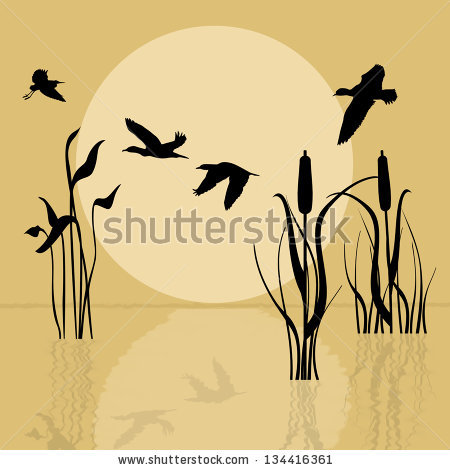 Lake Sunset clipart #6, Download drawings