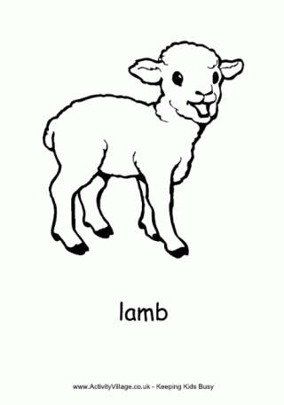Lamb coloring #19, Download drawings