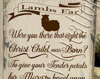 Lamb's Ear svg #18, Download drawings