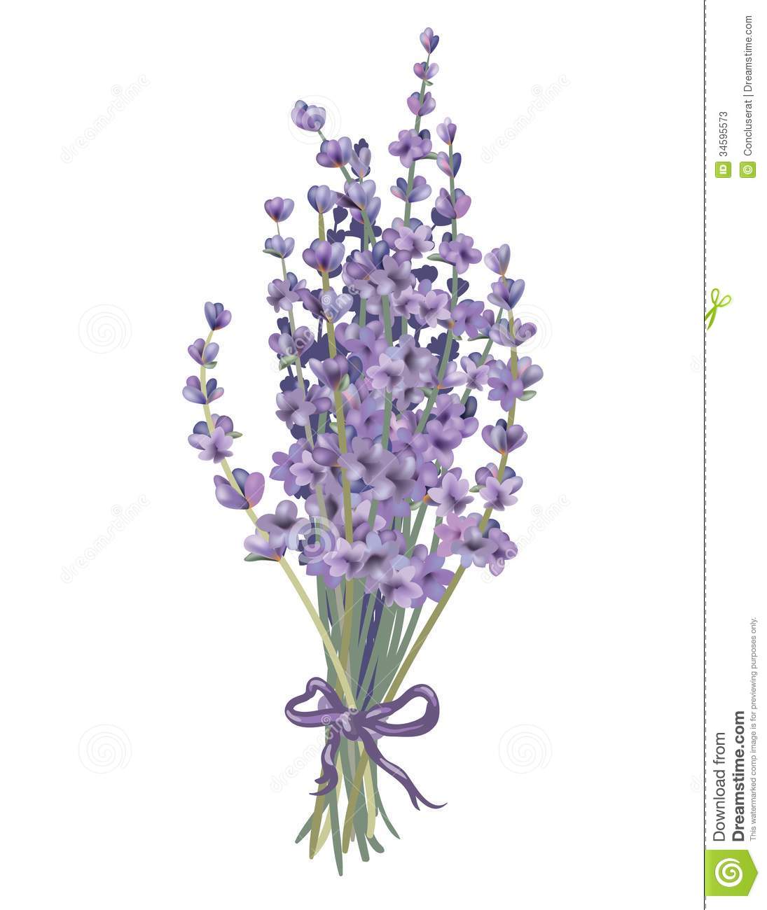 Lavender clipart #20, Download drawings