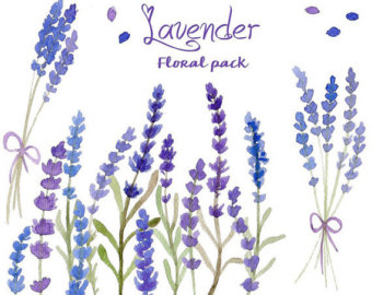Lavender svg #13, Download drawings