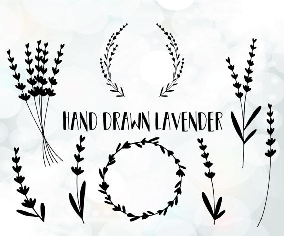 Lavender svg #19, Download drawings