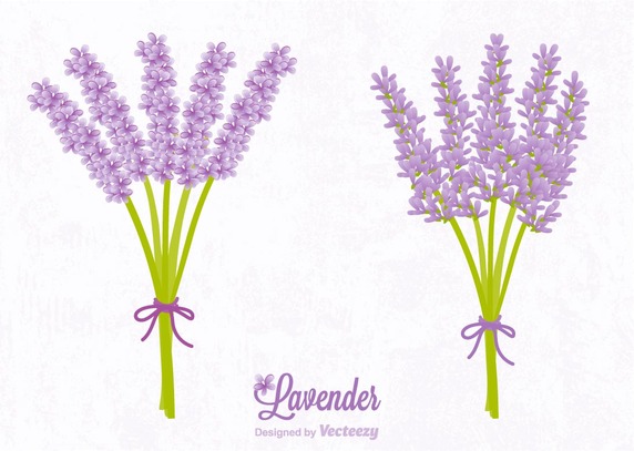 Lavender svg #14, Download drawings