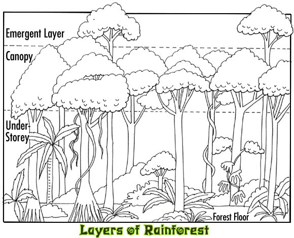 Layer coloring #4, Download drawings