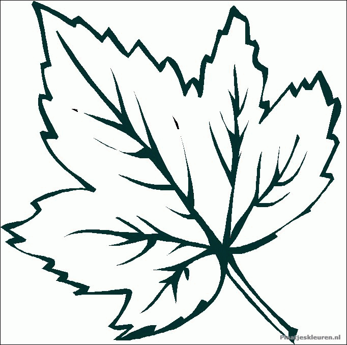 Leaf coloring #4, Download drawings