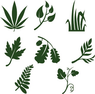 Foliage svg #6, Download drawings